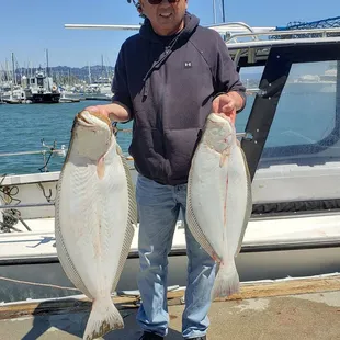Limits of quality halibut! Thanks to Captain Rickey Acosta of Feeding Frenzy Sportfishing!