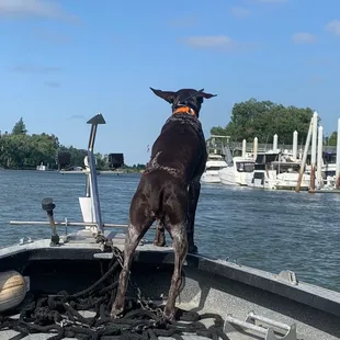 First Mate Piper spotting fish!