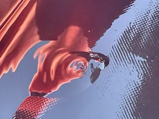 River Rat Raft & Bike