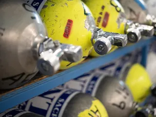 Dolphin Scuba Center