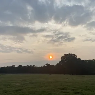 outside