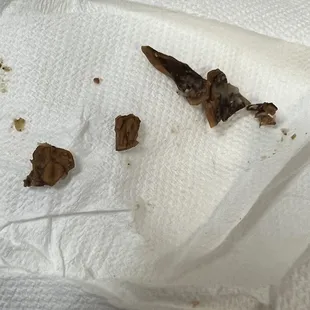 Shells in granola! Be careful! I dont recommend in buying! Unsafe!