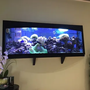 Great atmosphere!! Nice and calming!!