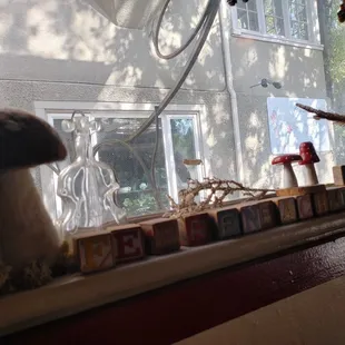 a mushroom on a window sill