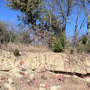 Beautiful Bonner Springs Scenery