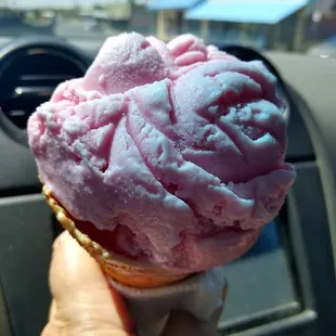 Prickly Pear Ice Cream Cone