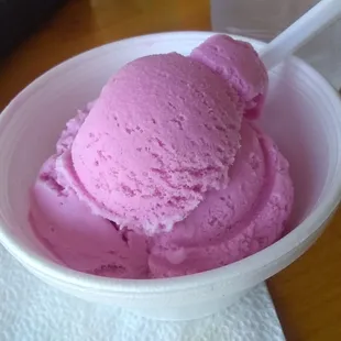 Prickly Pear Ice Cream