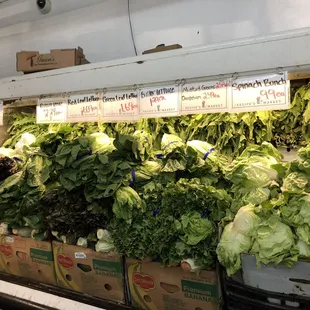 More green selections to choose from