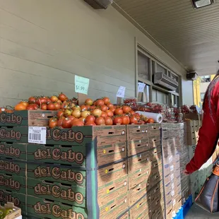 a woman shopping for tomatoes