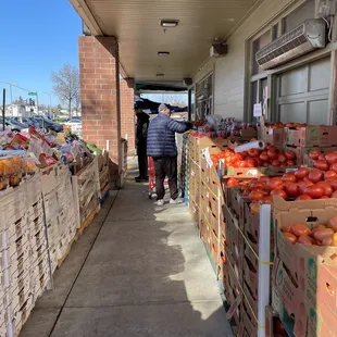 a man and a woman shopping for produce