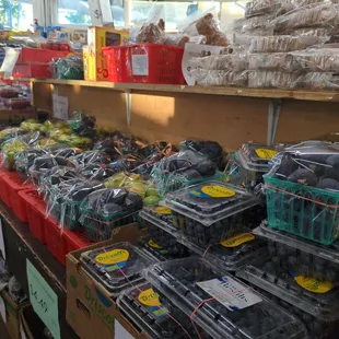 a variety of fruits and vegetables