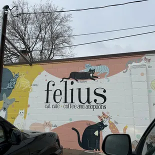 a cat mural
