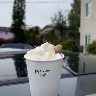 Puppicino