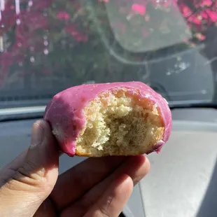 Blueberry donut