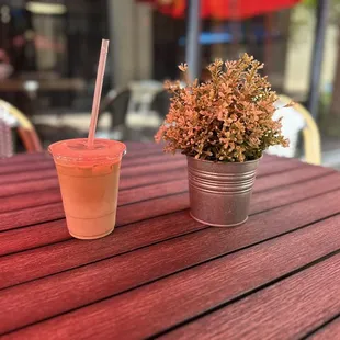 a small potted plant on a table