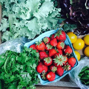 fresh fruits and vegetable delivery box