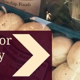winter grocery subscription