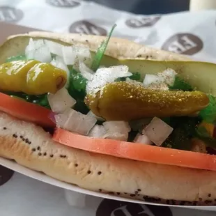 Chicago Dog