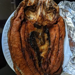 Milk fish