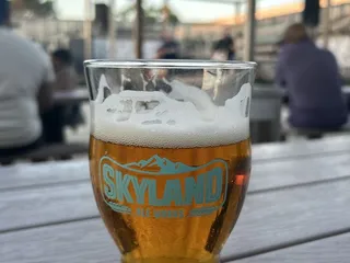 Skyland Ale Works