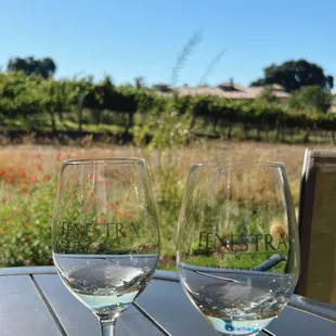 two wine glasses on a table