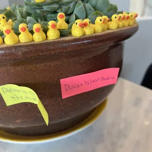 Cute !