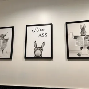 Funny bathroom decor, brought a smile