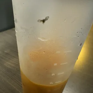 Found a dead bug inside the thai tea