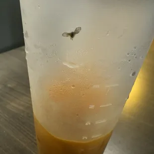 Found a dead bug inside the thai tea