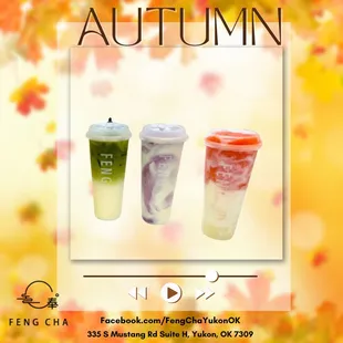 Treat yourself to some drinks at Feng Cha Yukon. You deserve it!