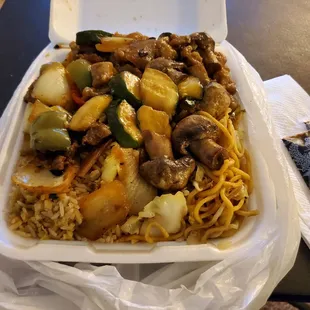 Green pepper beef and mushroom chicken with rice/chow mien.