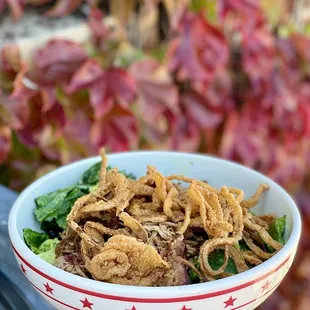 Large Cherry Pork Salad