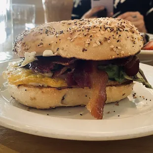 Bacon egg avocado sandwich on everything bagel