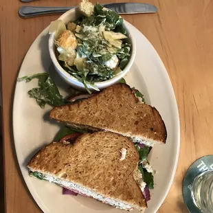 Chicken Salad sandwich with kale Caesar as a side.