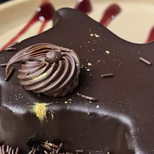 Texas Shape Chocolate Mousse Cake (1)