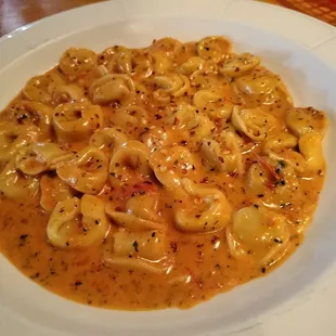 Cheese tortellini in vodka sauce
