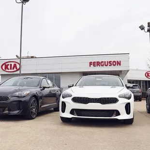 Ferguson Kia