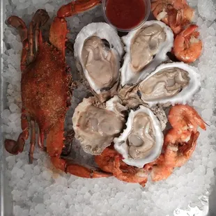 a plate of oysters and a crab