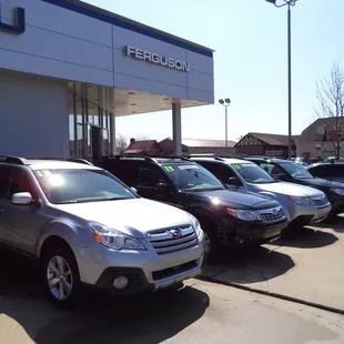 Ferguson Subaru