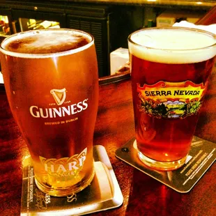 Harp + Sierra Nevada