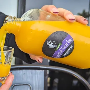 Fermented Master Tonic