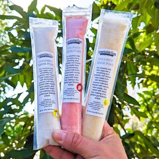 Coconut Kefir Pops