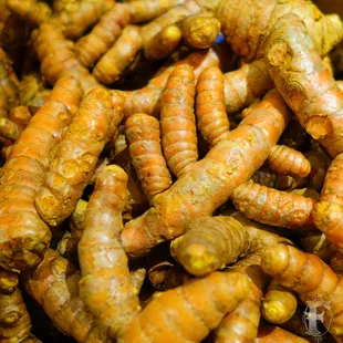 Love the Master Tonic