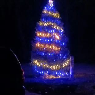 a lighted christmas tree