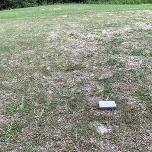 This is one of the Tee Boxes.