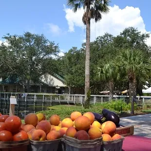 a variety of fruits and vegetables