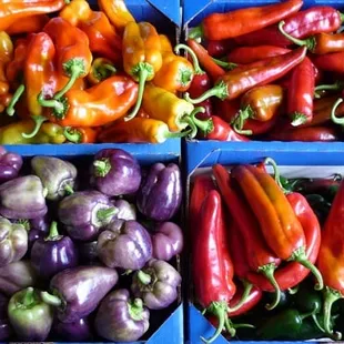 a variety of peppers