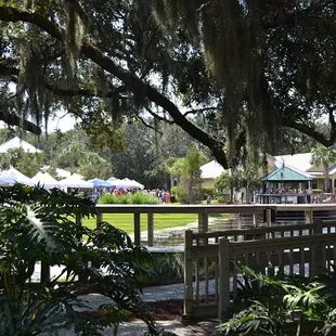The Market's new location nestled in the oak trees