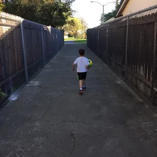 Pathway to the park.