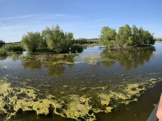 Woodland Regional Park